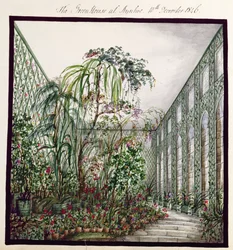 Växthuset i Aynhoe, 1846